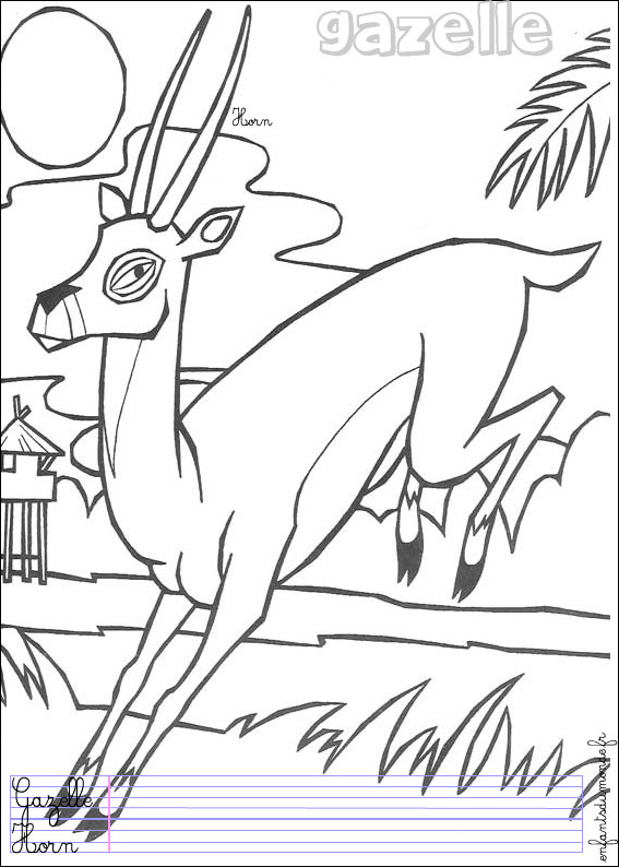 coloriage gazelle 1